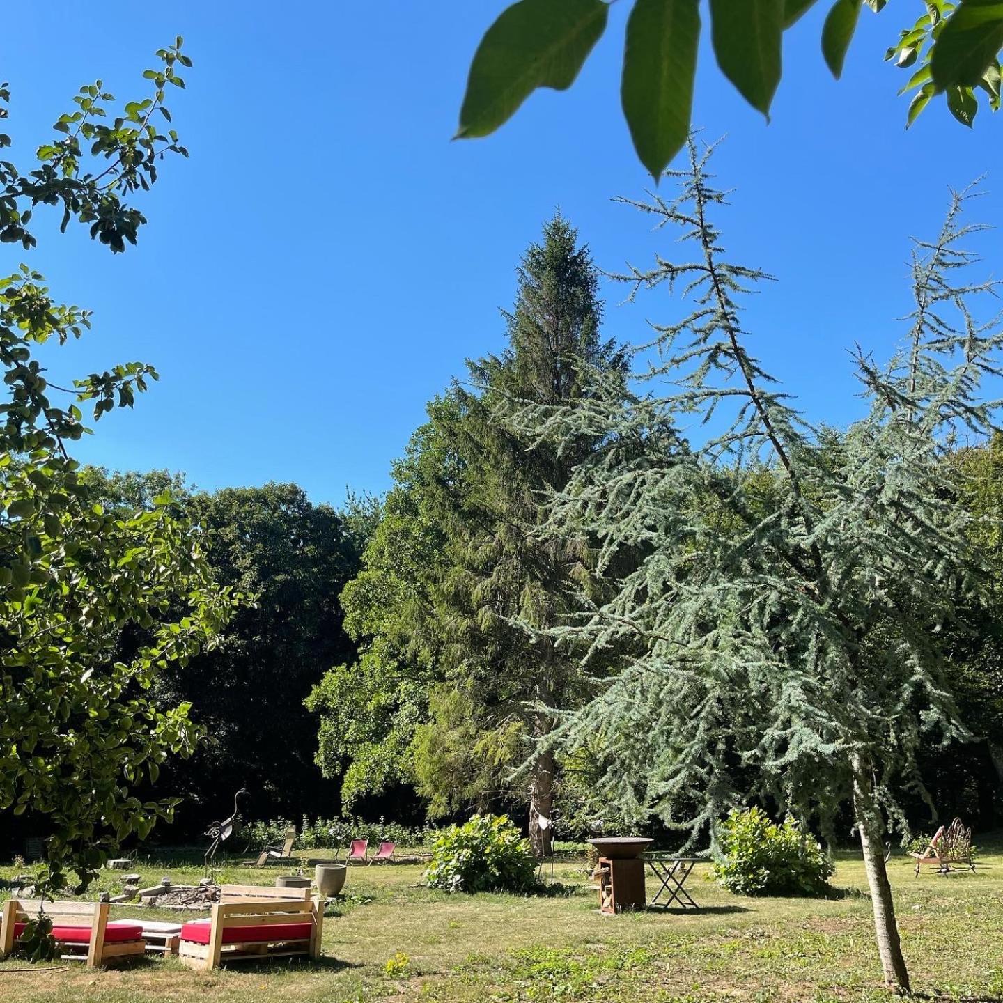 Domaine De Fresnoy Bed & Breakfast Loison-sur-Créquoise Eksteriør bilde