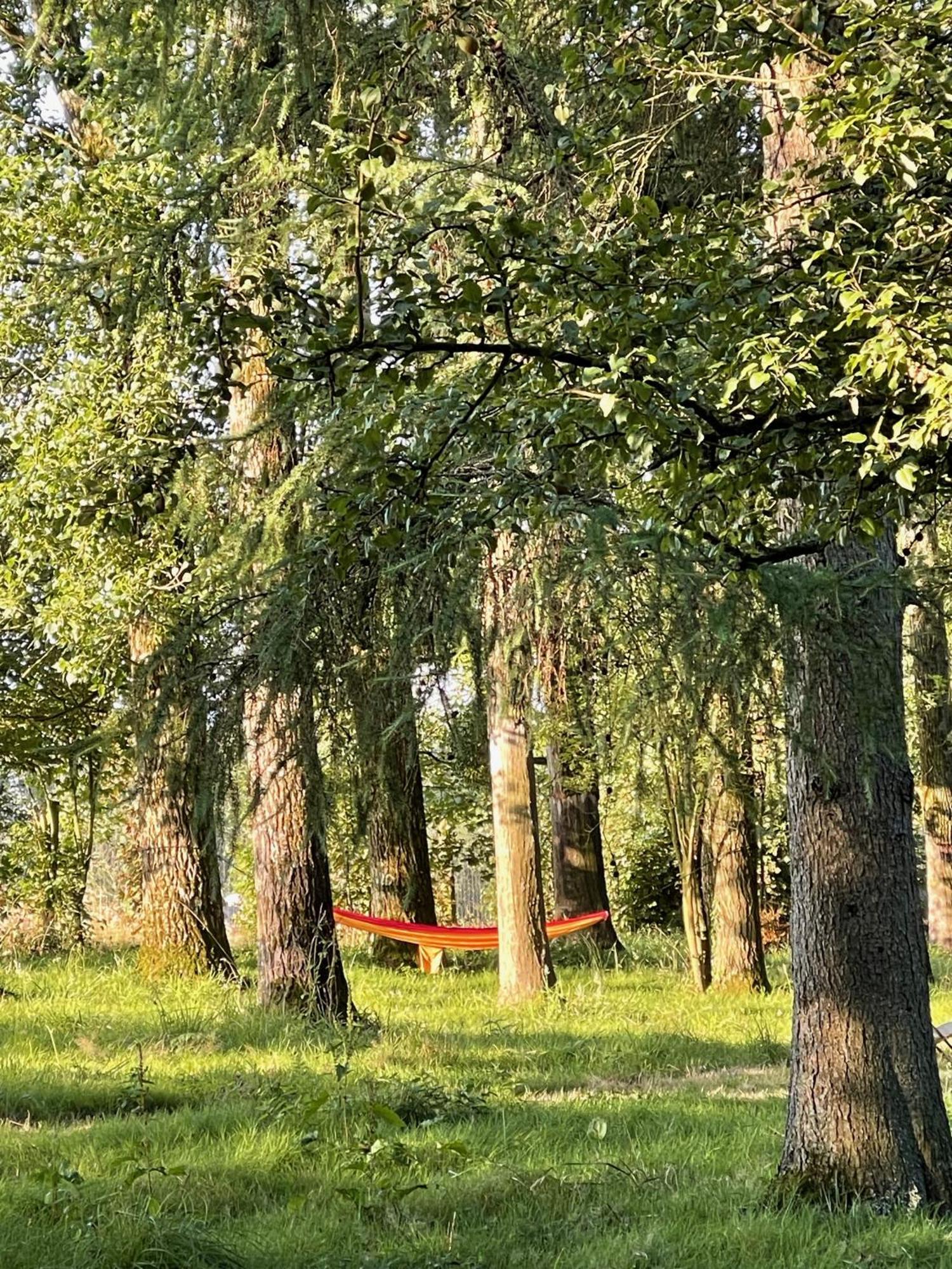 Domaine De Fresnoy Bed & Breakfast Loison-sur-Créquoise Eksteriør bilde