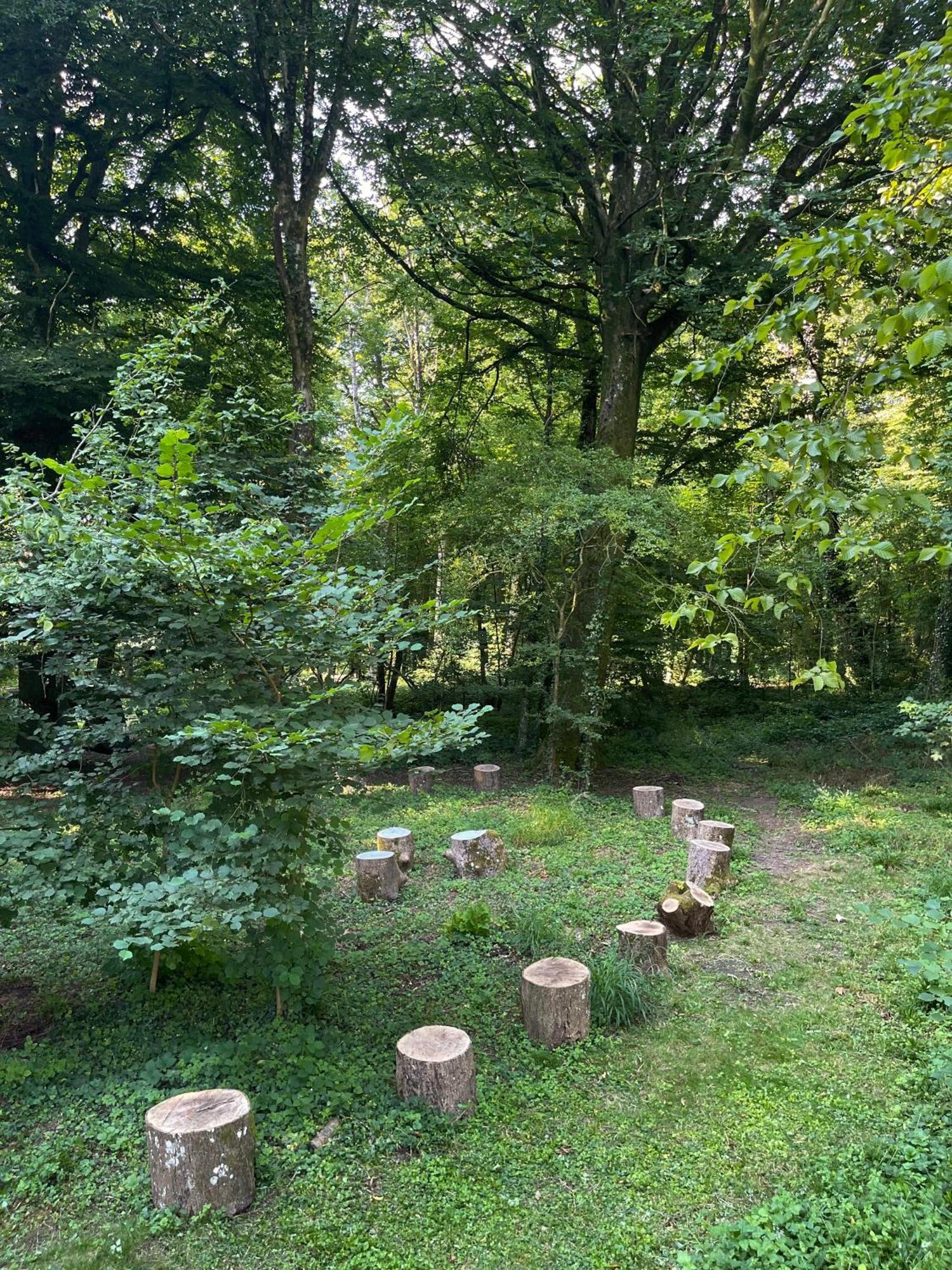 Domaine De Fresnoy Bed & Breakfast Loison-sur-Créquoise Eksteriør bilde